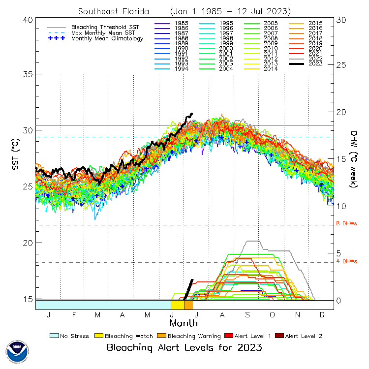 The water temperature in the Florida Keys and southeast Florida is hotter than has ever been measured during any time of year, and it's not even close.