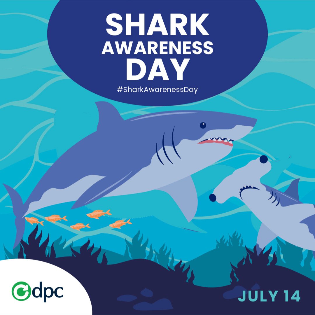DPCTechSupport's tweet image. Shark Awareness Day: Take some time today to learn about these fascinating creatures and the important role they play in our oceans. Sharks may be feared, but they are also incredibly important to the ecosystem and deserve our respect and protection.
.
.
.
#Sharkawarenessday