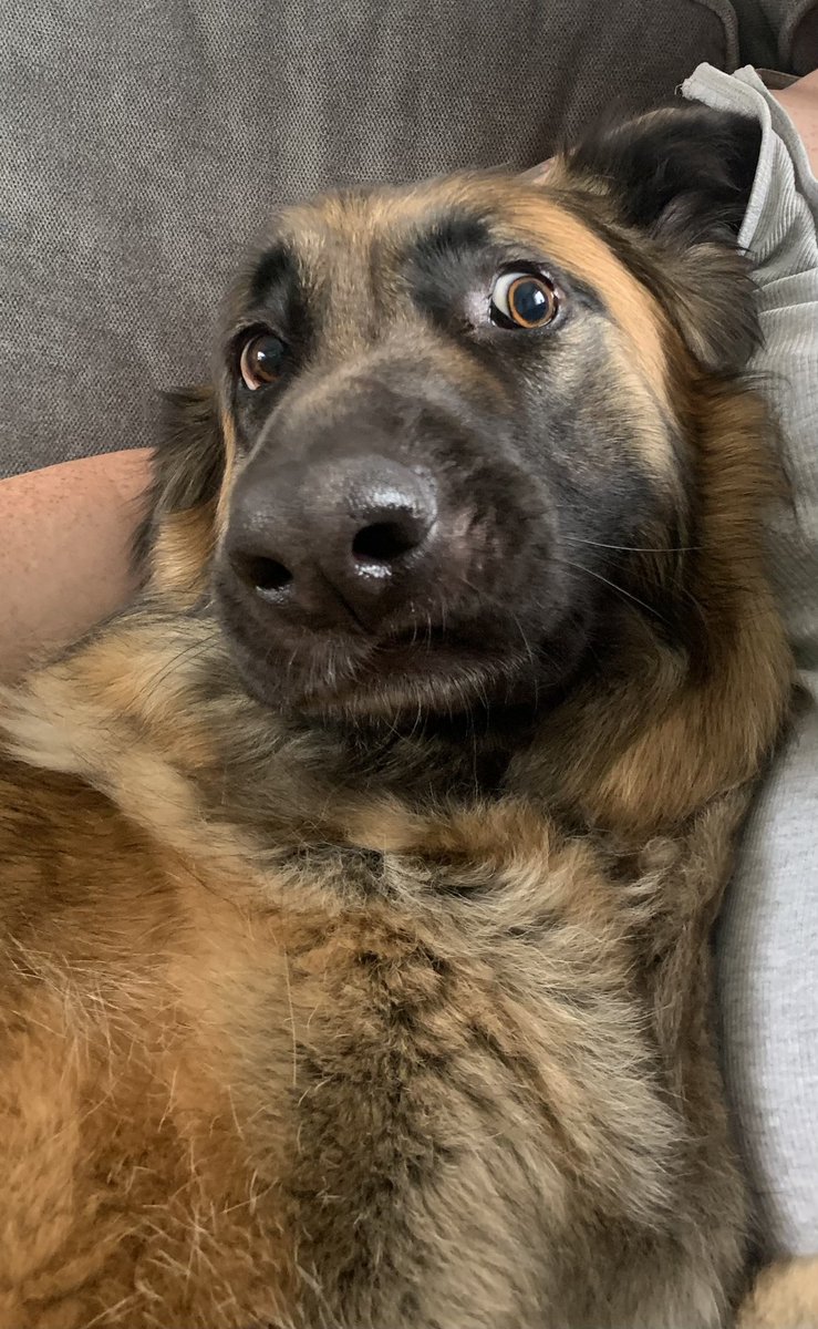 J∆DE🦖 tweet media