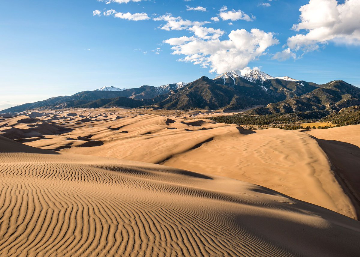 WeAreInvictus's tweet photo. We are incredibly excited for our next #InvictusEndeavour to the Great Sand Dunes of Colorado.
In just over 1β£ week, we will be sending a team of WIS off on an incredible adventure to aid them in their recovery journey. ππ€ https://t.co/zeXGwX09zB