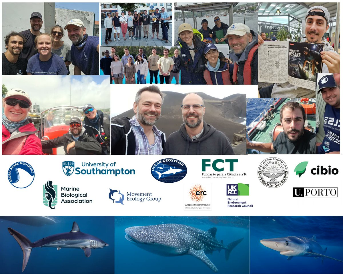 A huge THANK YOU to all of our fantastic collaborators @TheSimsLab had the pleasure to work with over the last 23y making possible our discoveries on foraging, climate impacts, search scaling laws, fisheries overlap & marine traffic collisions with giant sharks. #MBASharks
