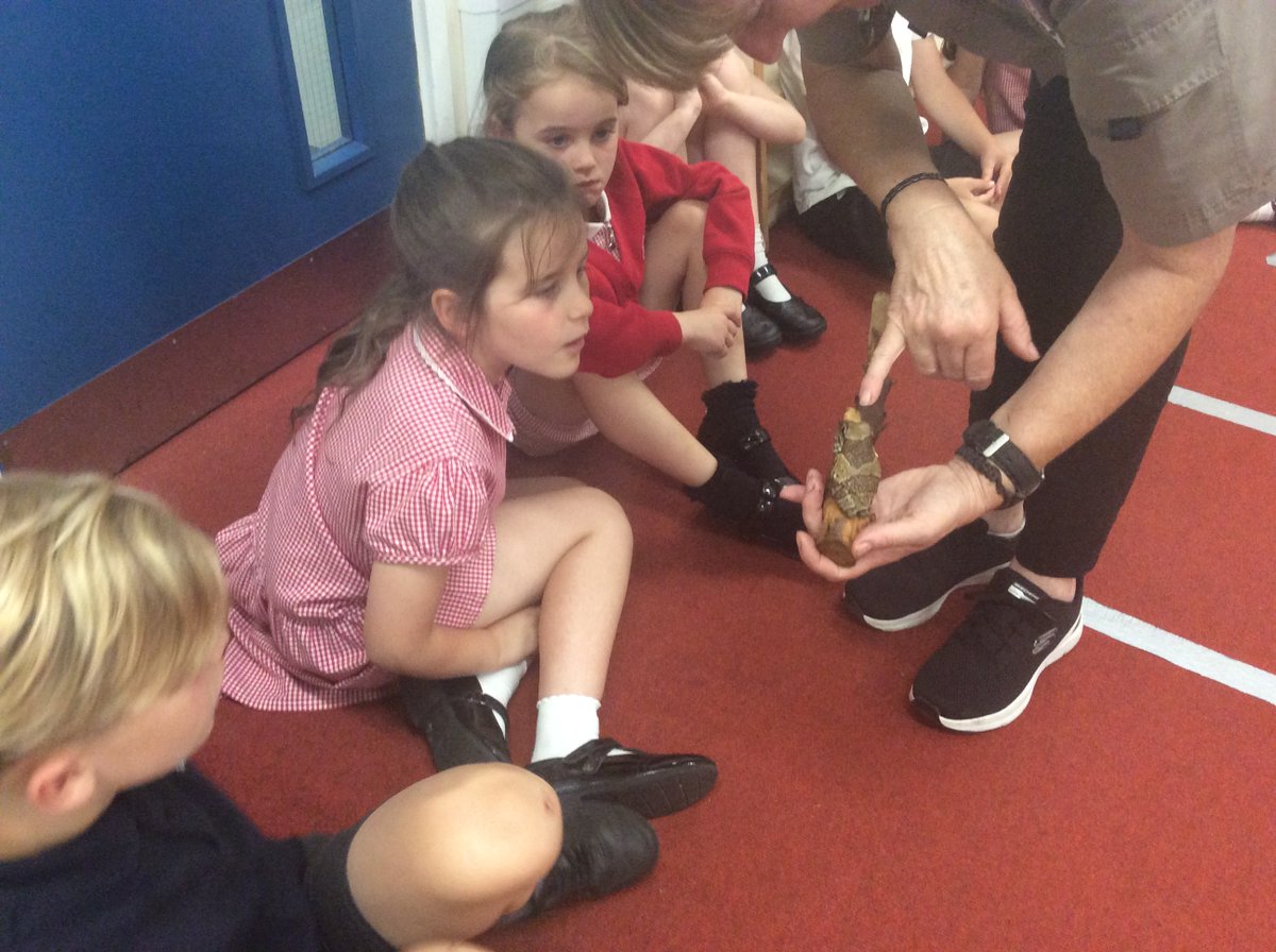 Robert Wilkinson Sch tweet media