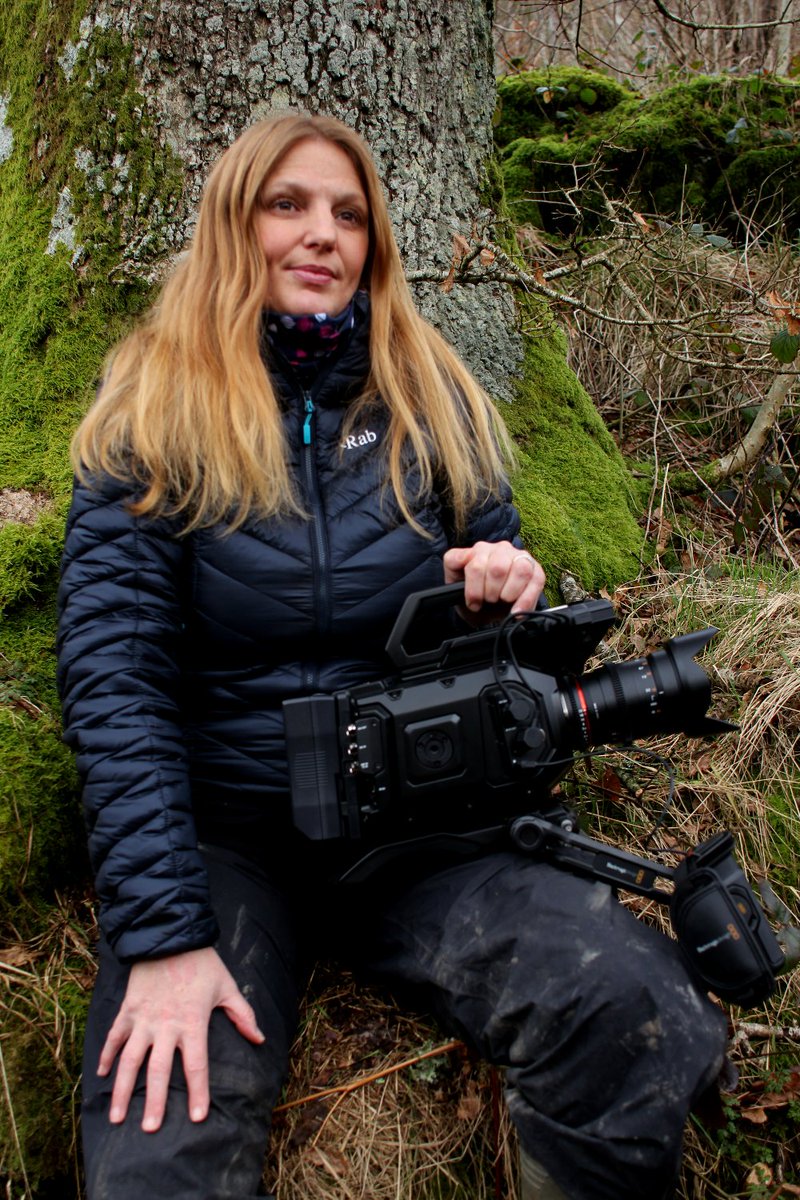 back in business, producing a Curlew campaign film with the help of the RSPB.