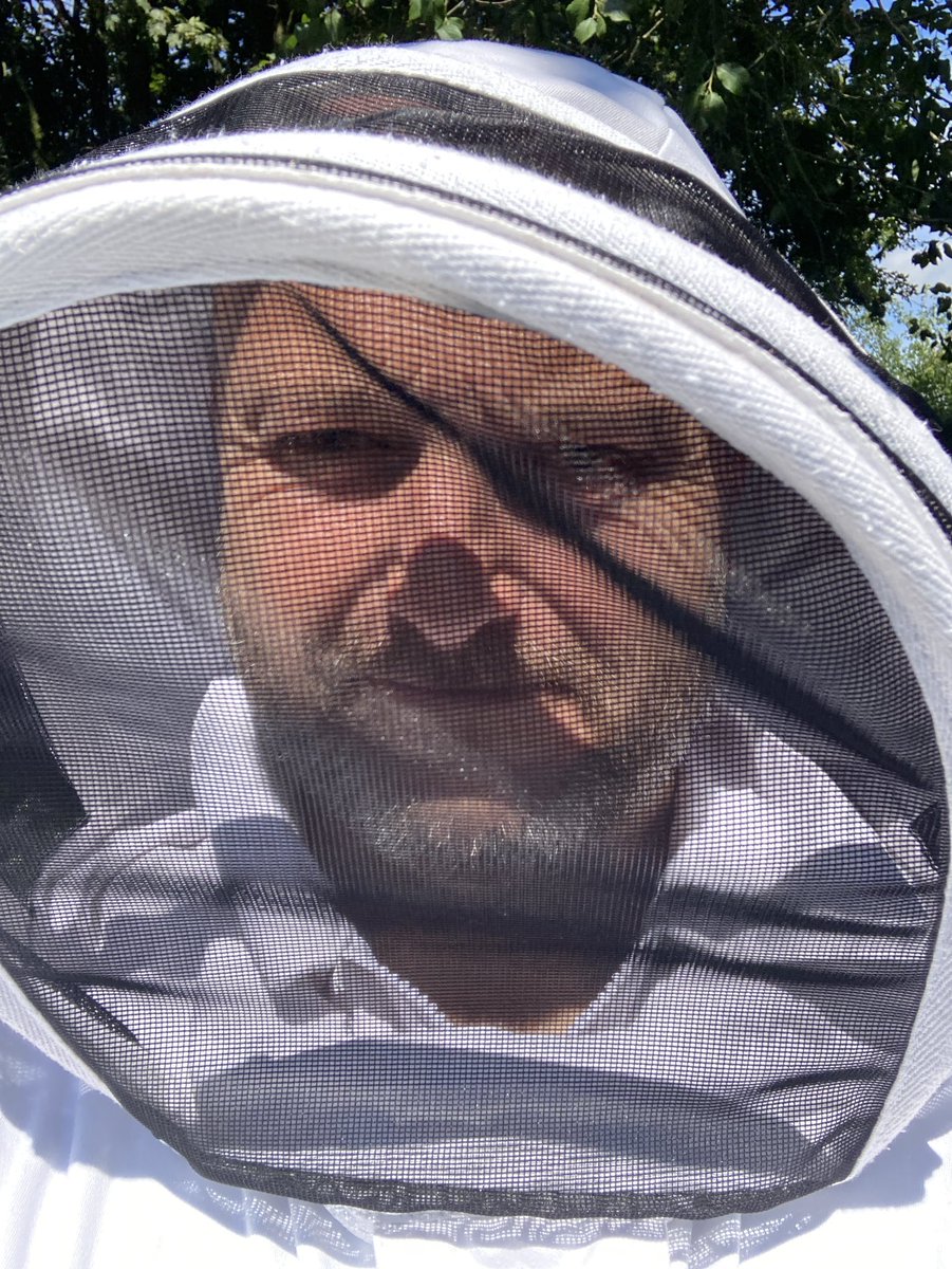 GCSEsimplified's tweet image. Well some good use of my final school inset … check out the bees 🐝 

#CPD #Inset #Apiary 🐝🐝#GCSEsimplified