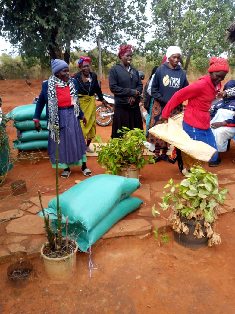 It was all smiles in ward 15 of Masvingo District, as the cluster-level Village Savings and Lending Group, supported by <a href="/WFP/">World Food Programme</a> in collaboration with <a href="/SNVZimbabwe/">SNV Zimbabwe</a> shared their savings and spent US$2,040 on 2.5 tons of AN fertilizer in preparation for the 2023–2024 farming season.