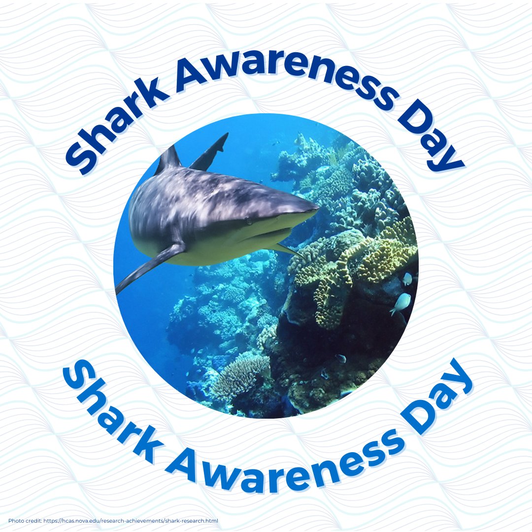It's Shark Awareness Day and we are so proud to be @nsuflorida Sharks. 🦈 Fins up! #nsuwcc