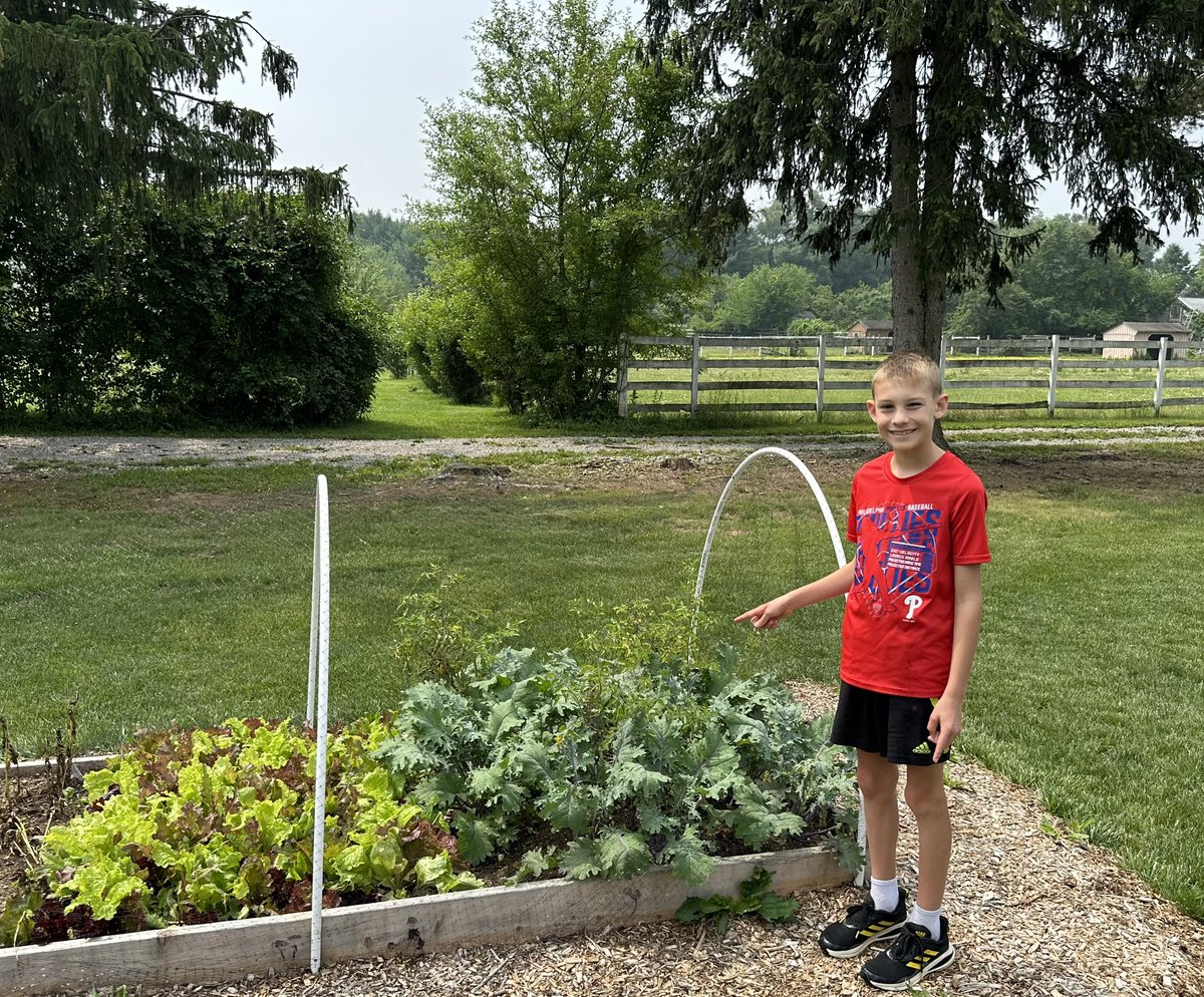 MrsMStack's tweet photo. KBES’s 3rd and 4th graders participated in the Kellyn Foundation Healthy Lifestyle program this spring. One of the activities was to start a garden at school and 4th grade families volunteered to take care of it this summer. Our vegetables are growing well! #goodbetterBUTZ https://t.co/5Ka6e4YIuu