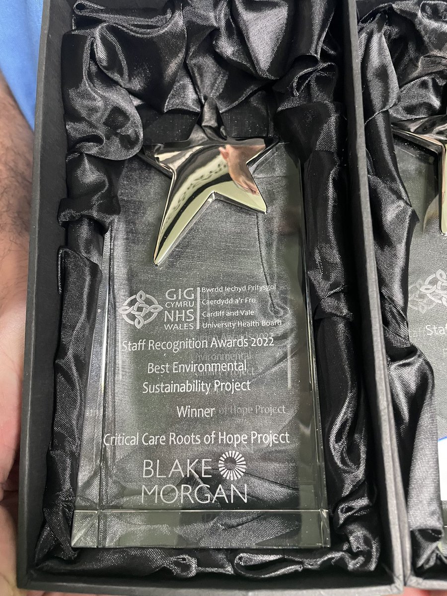 Clements4Joanne's tweet photo. Celebrating @CV_UHB Staff recognition awards with 3 winners from @UHWCriticalCare and @UHWResearch 
Well done Alex, Jade and our green group ⭐️⭐️⭐️
@Clairemain23 @JackParryJones2 https://t.co/QZPqCgdTqF