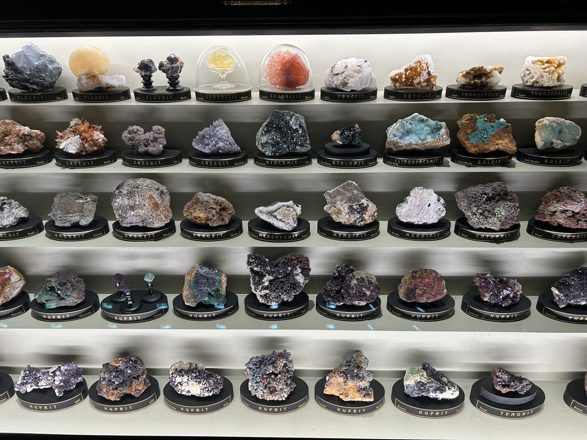 Bay12Games's tweet photo. @mjosmurphy Yes, so many goodies there, and the room just keeps going….  Then there are more rooms https://t.co/3VmjGG9B15