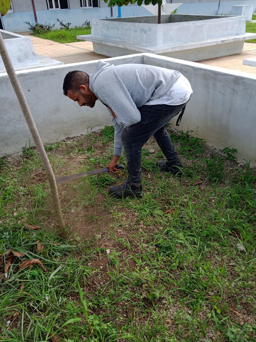 edgardo86407's tweet photo. Hoy los muchachos decidieron hacerle la guerra a las malas yerbas, con esfuerzo limpiando las áreas verdes. #PlantaCiegoDeAvila, #LatirAvileño, ##ERTACAV. https://t.co/hlCVzefYYu