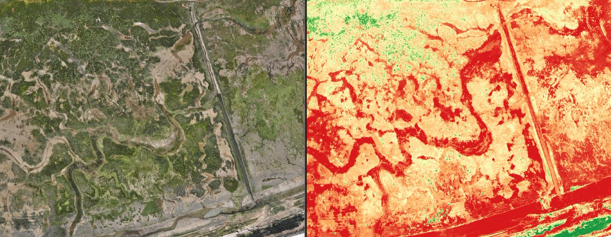 Jim Pullen tweet media