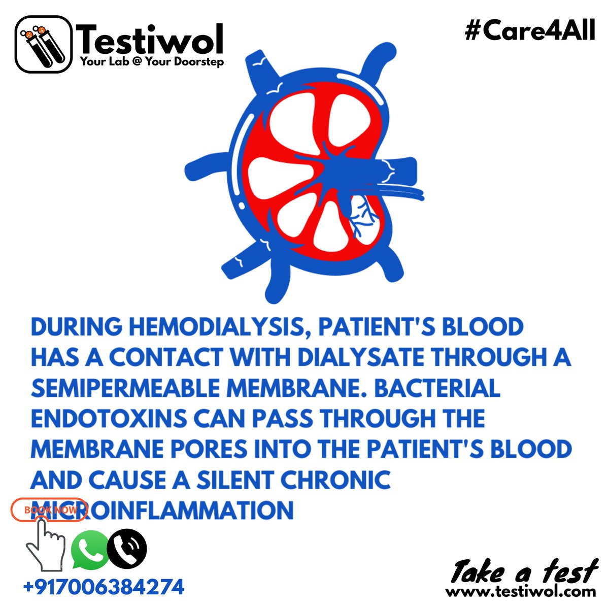 testiwol's tweet photo. During hemodialysis, patient's blood has a contact with dialysate through a semipermeable membrane. Bacterial endotoxins can pass through the membrane pores into the patient's blood and cause a silent chronic microinflammation
 #testiwol #bloodtestonlinereport @testiwol https://t.co/QCp2VaMbq1