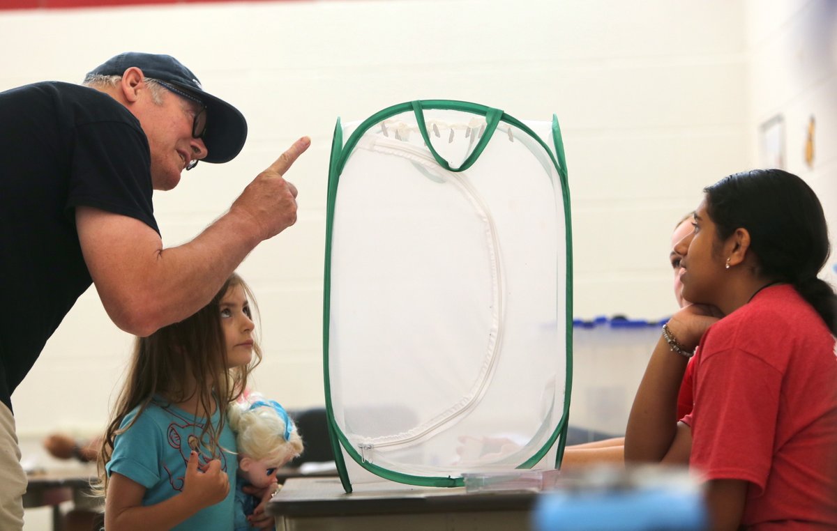 The Butterfly Garden is open at Farnsworth Middle School for everyone's pleasure. Tours are given Mon., Tues., Thurs., Fri., 10 a.m. to 1 p.m. and Wednesdays July 19, July 26, Aug. 2, Aug. 9 from 5:30 to 8 p.m. @theAEnews @GuilderlandCSD