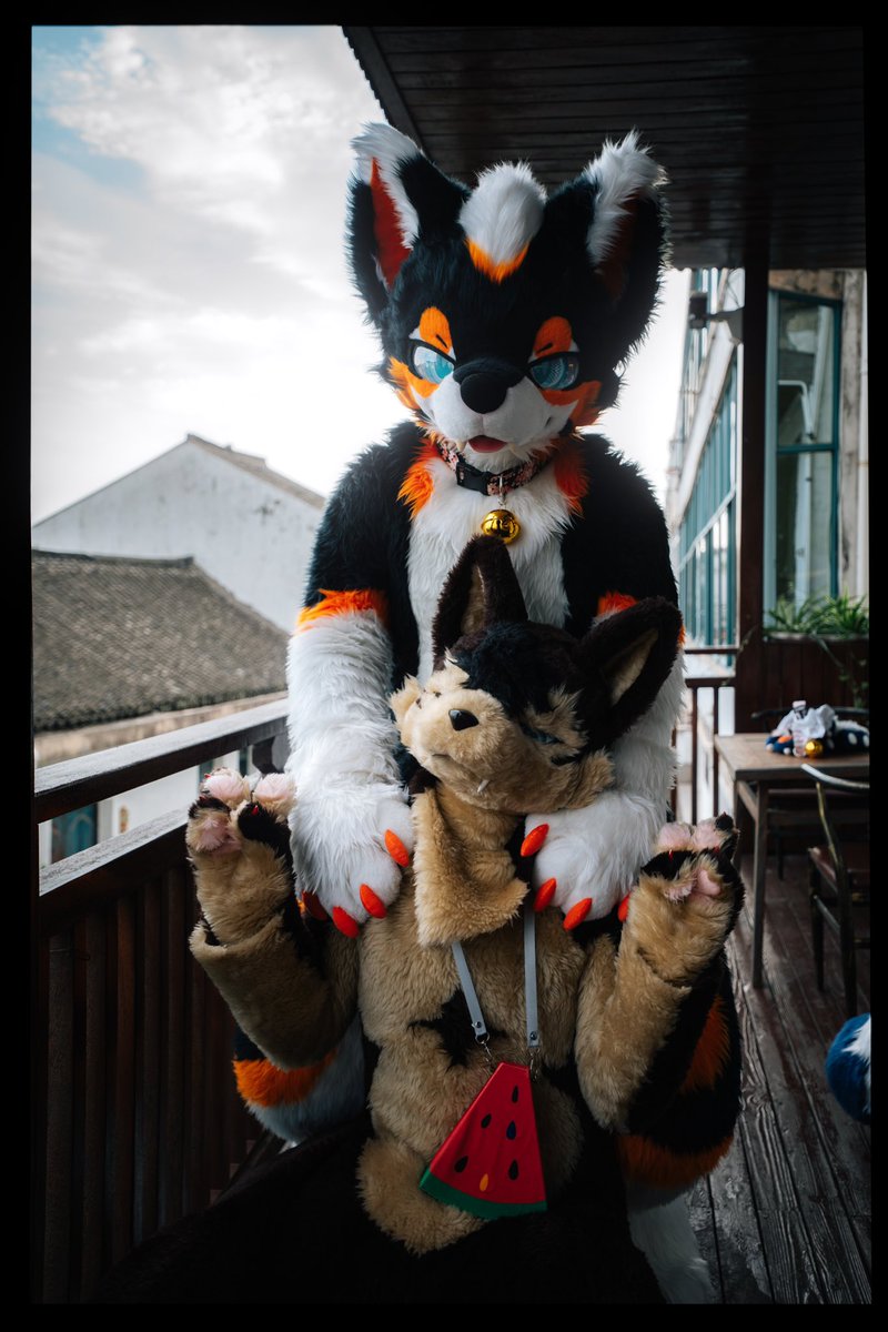 #FursuitFriday 
是合照！<a href="/chezai_UwU/">车仔/車ちゃん</a>