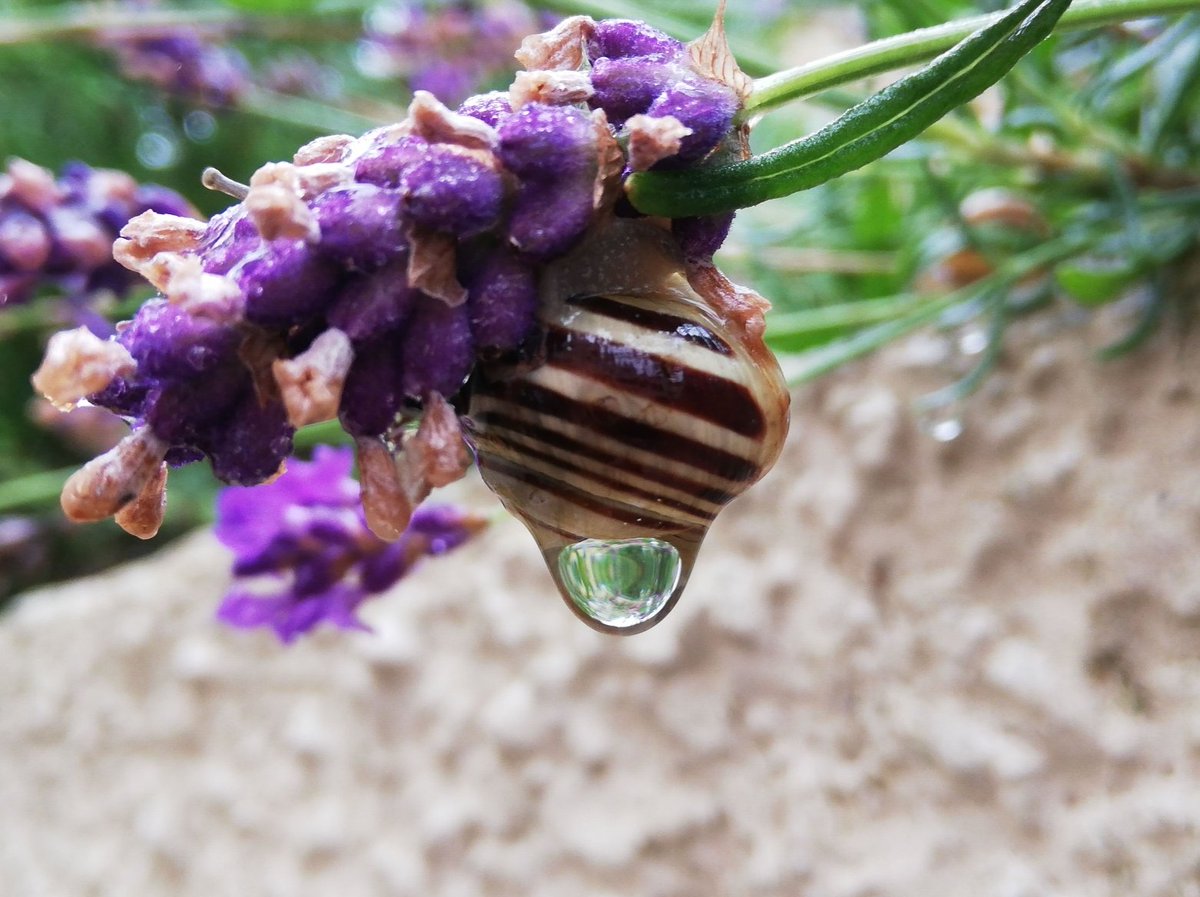 The bins took ages to put out this morning and I got soaked 💦💦 😂 Happy Friday y'all 😍