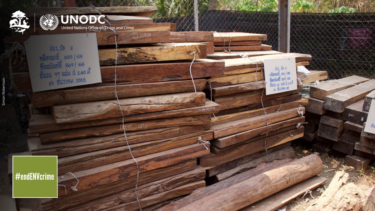 Forests provide habitat for the majority of species &amp; rely on ecosystem services provided by wildlife like fertilization. Increased collaboration between law enforcement, criminal justice actors &amp; environmental experts needed to protect healthy ecosystems. #endENVcrime