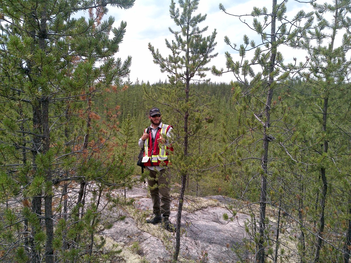 Brigadier Gold (TSXV:BRG, US:BGADF) tweet media