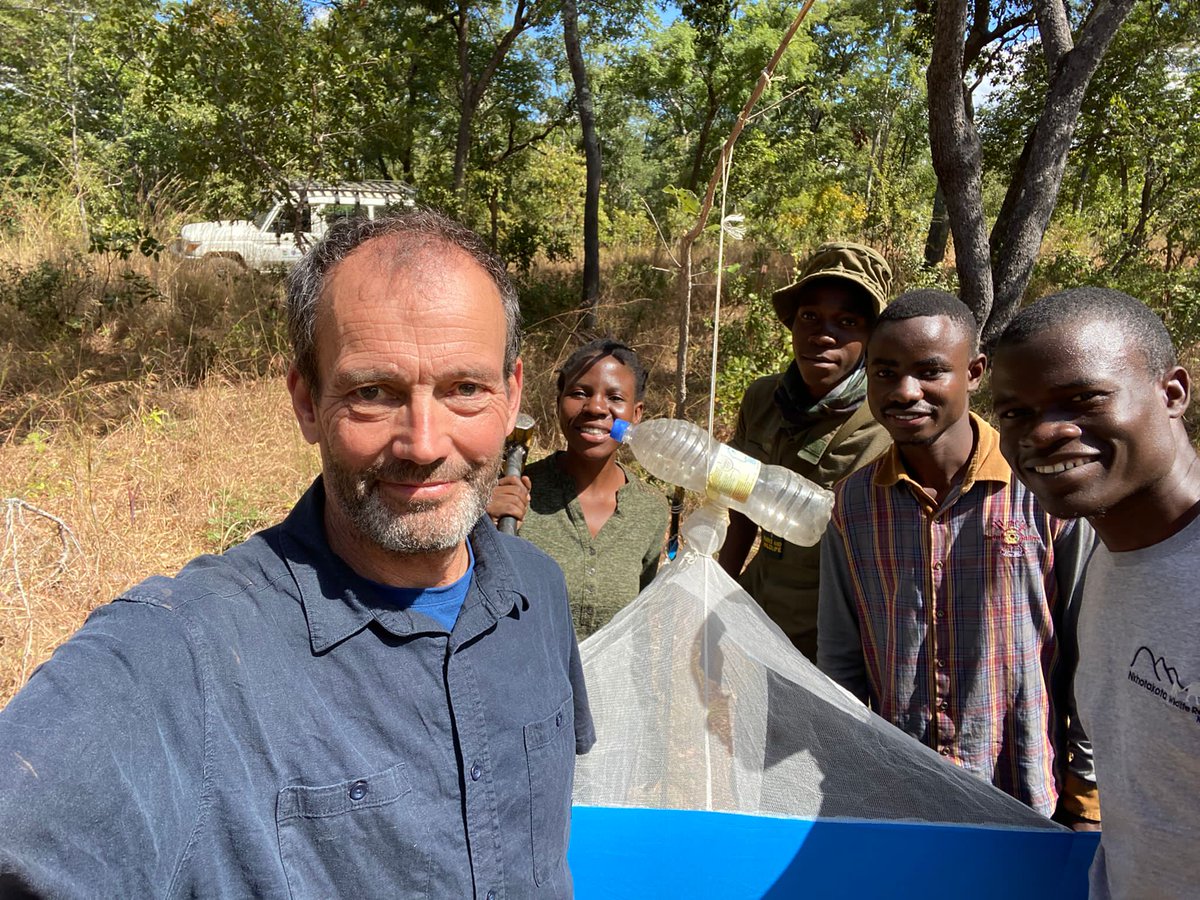 It was my great pressure deploying tsetse traps with Professor Steve Torr in Nkhotakota wildlife reserve. # Strengthening resilience against sleeping sickness # Vector biology in action.