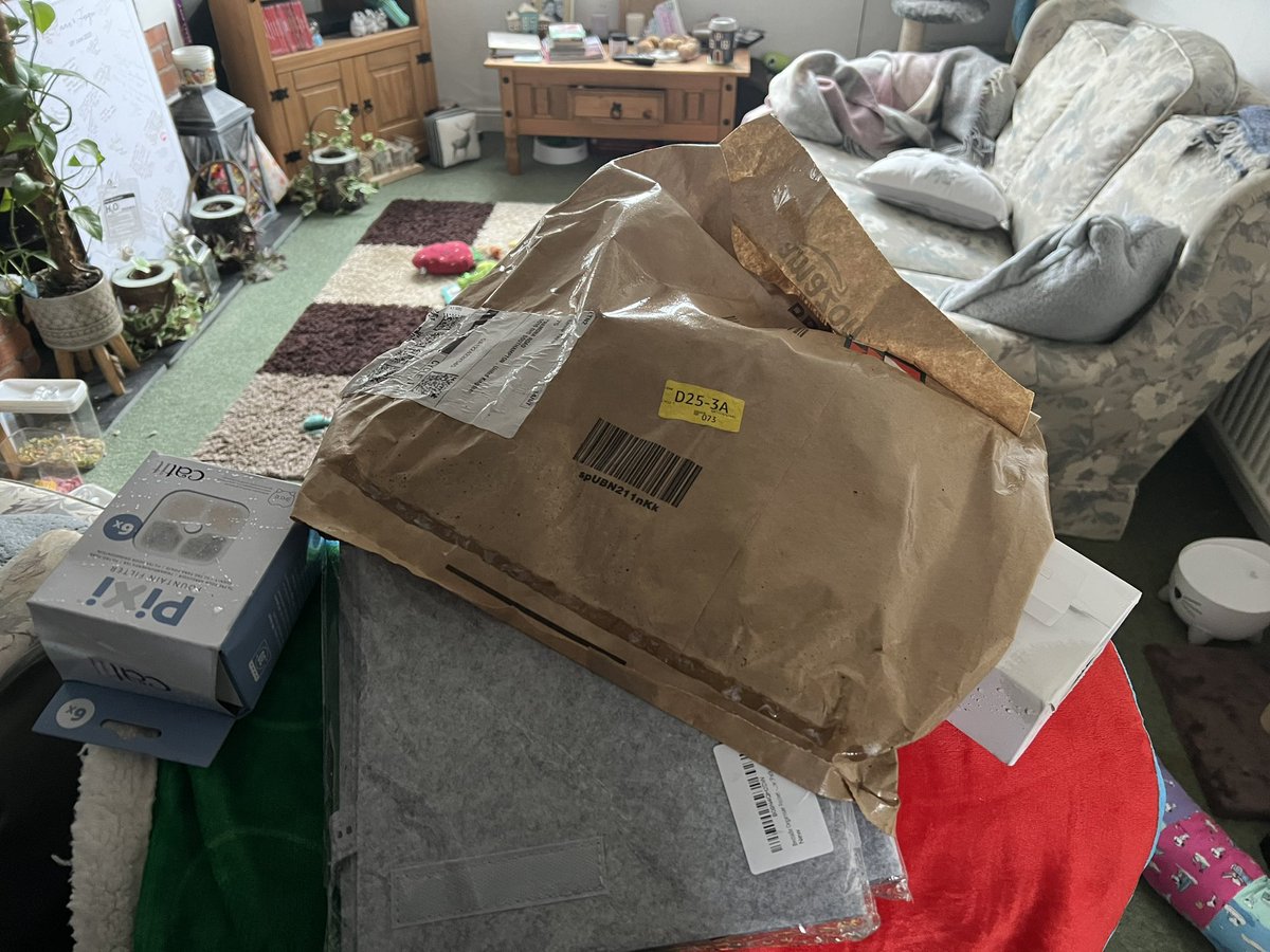 Emma Tayler tweet media