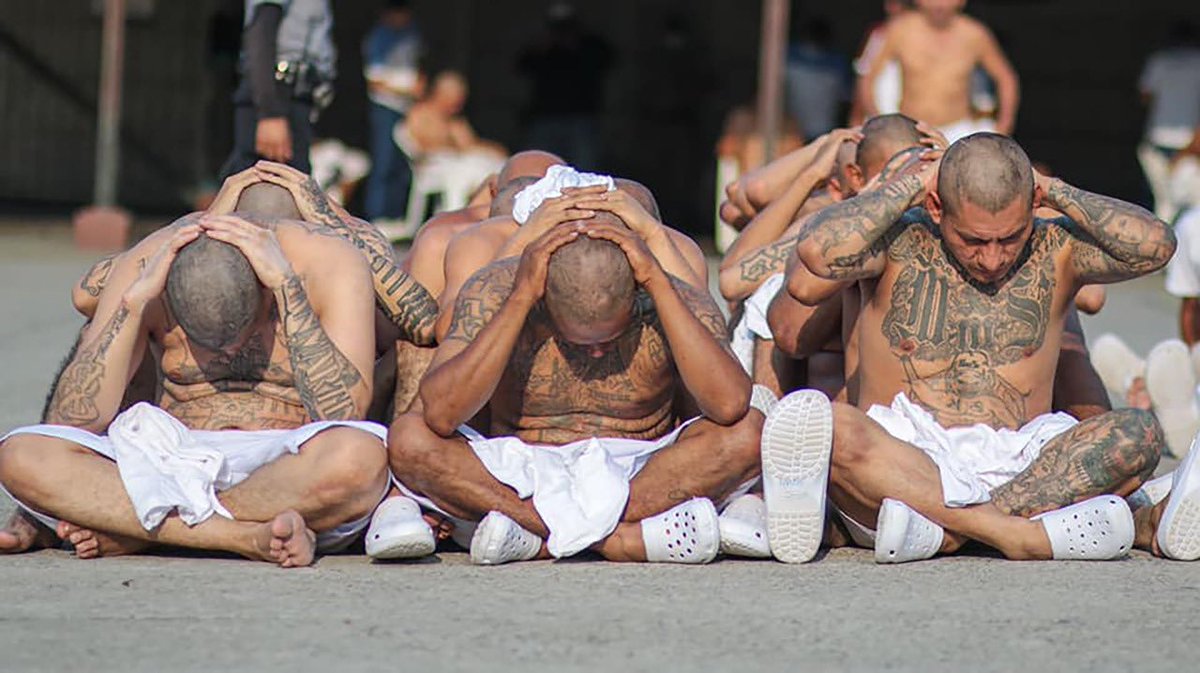 ¿Líderes de las pandillas? 👇🏼

Modificaremos la Ley Contra el Crimen Organizado para aumentar hasta en una tercera parte la pena contra cabecillas de pandillas. Enfrentarán hasta 60 años de cárcel.

Se han detenido a 11 de los 15 jefes nacionales de la Mara Salvatrucha.
 
Las