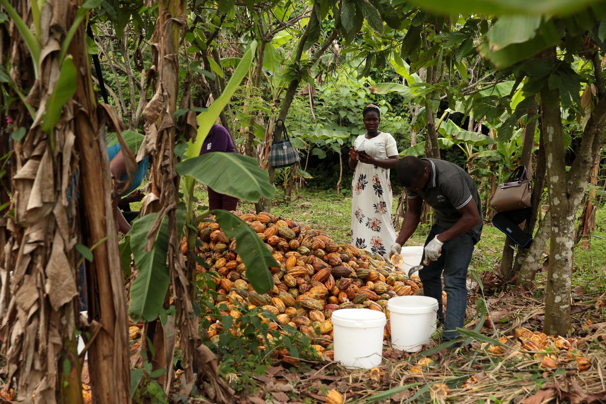 Sustainability Works tweet media