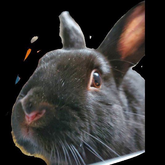 xlShoe's tweet photo. @MrBeast A bit late to the party but heres an emote of my bunny. https://t.co/vBr79wy1cu