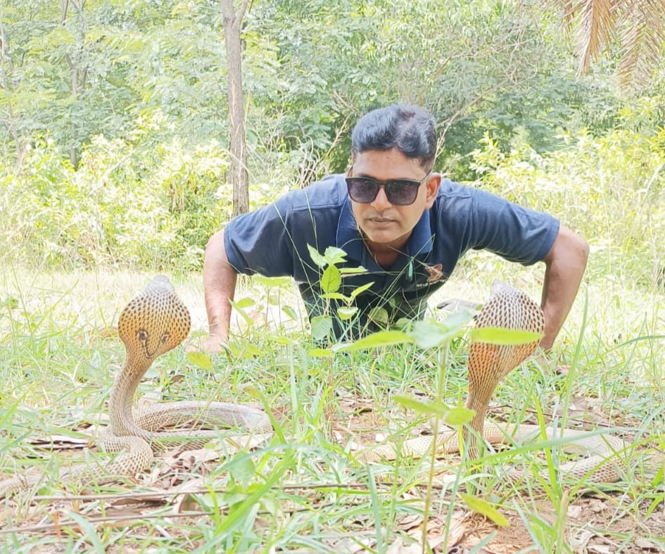 Chhotusnakeboy's tweet photo. सांपों को जीवन का हिस्सा समझो ,
 उन्हें बचाओ , 
उन्हें रक्षा करो !"
#Jharkhand #jamshedpur https://t.co/L7oTUWTj6s