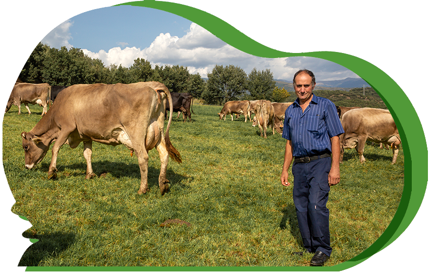SEAE_Agroecolog's tweet photo. ‼️ Por #jubilación y falta de #RelevoGeneracional, se busca familia y/o personal #emprendedor que quiera continuar con la marca registrada, e inscrita en el @CCPAE, #Ecofranch
📍 Aravell (Alt Urgell, Lleida)

🤞 Twitter, haz tu magia 🔁

ℹ️ https://t.co/R7knj8cuiM https://t.co/ZhyHuskGg8