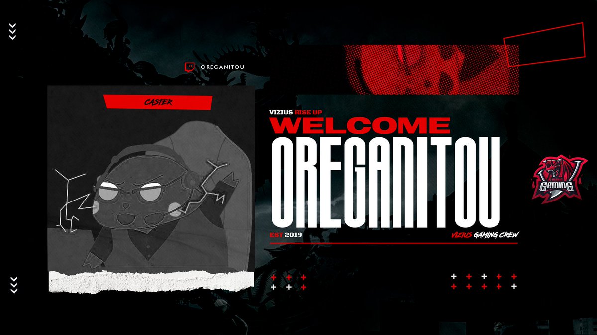 Vizius Gaming tweet media