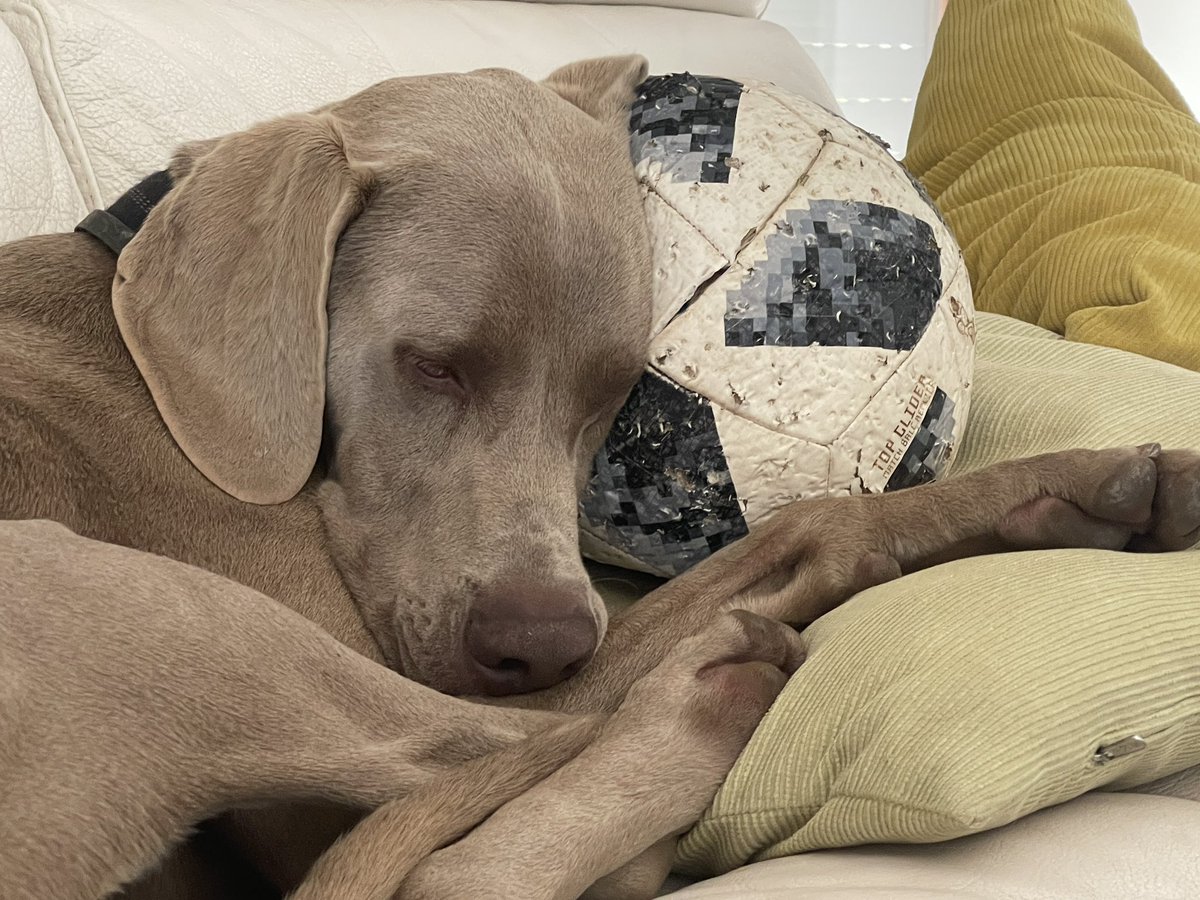 Que ganas de balón a ver si empieza ya <a href="/LaLiga/">LALIGA</a>