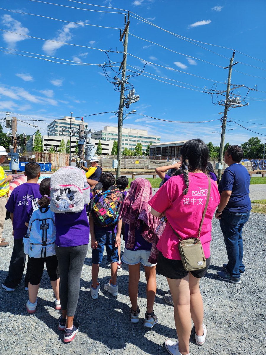 rubycostea tweet media