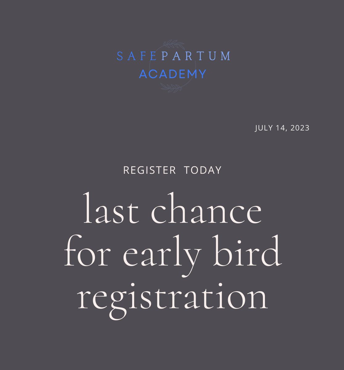 SafePartum tweet media