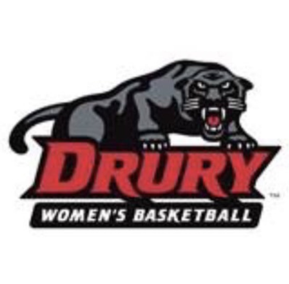 After a great talk with @CoachKBailey5 I’m excited to receive an offer to play at Drury! So grateful for this opportunity!