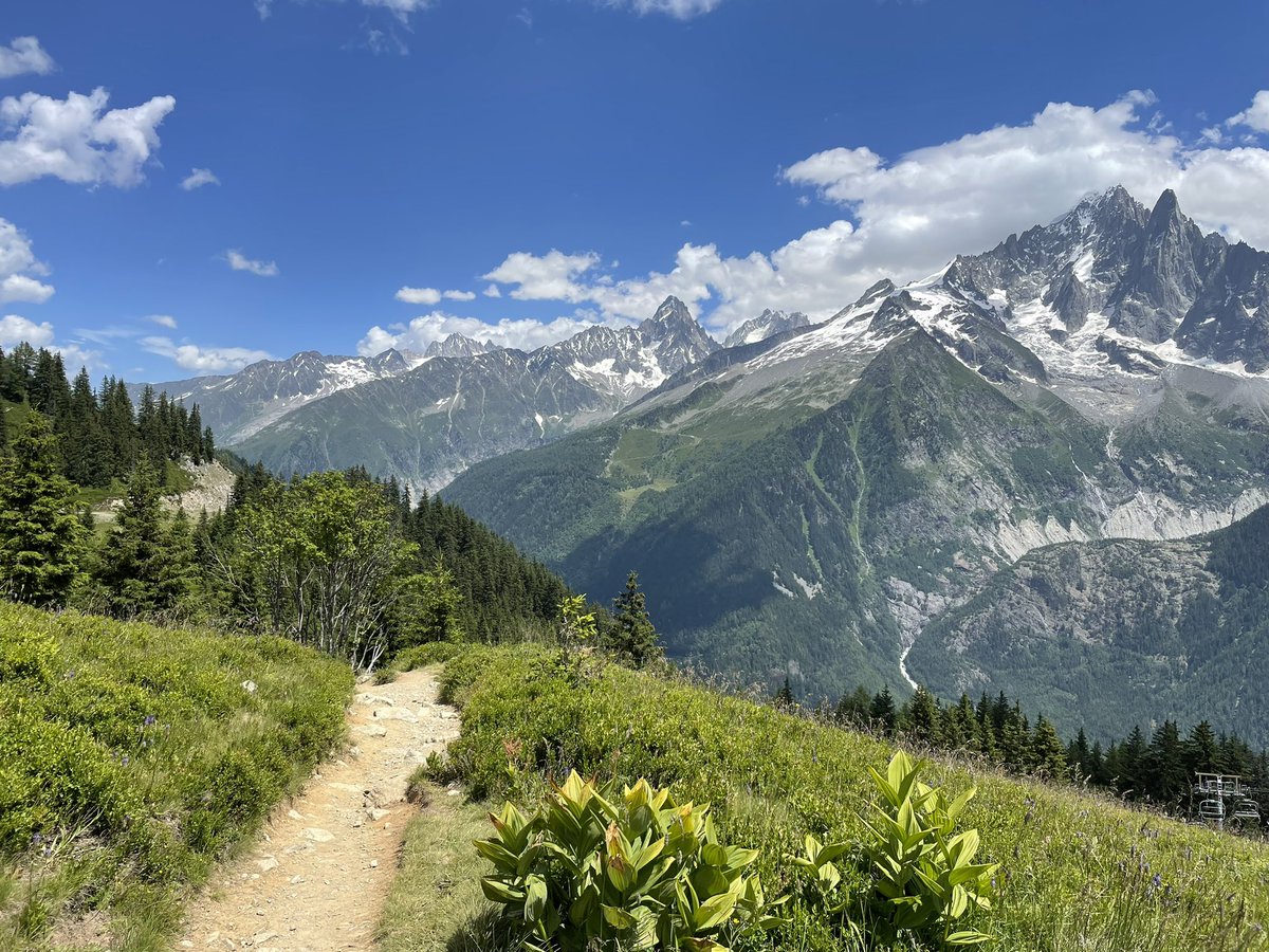 Myriam van Roeden tweet media