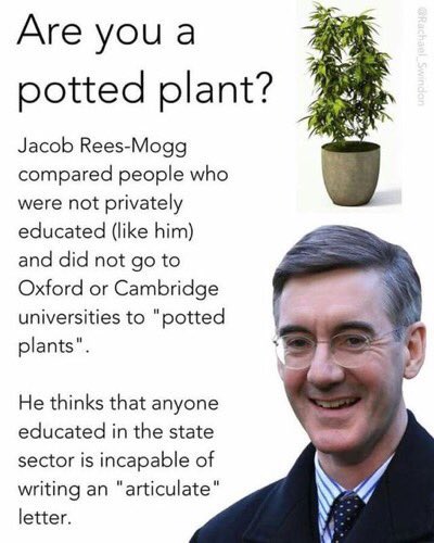 hickychip's tweet image. 