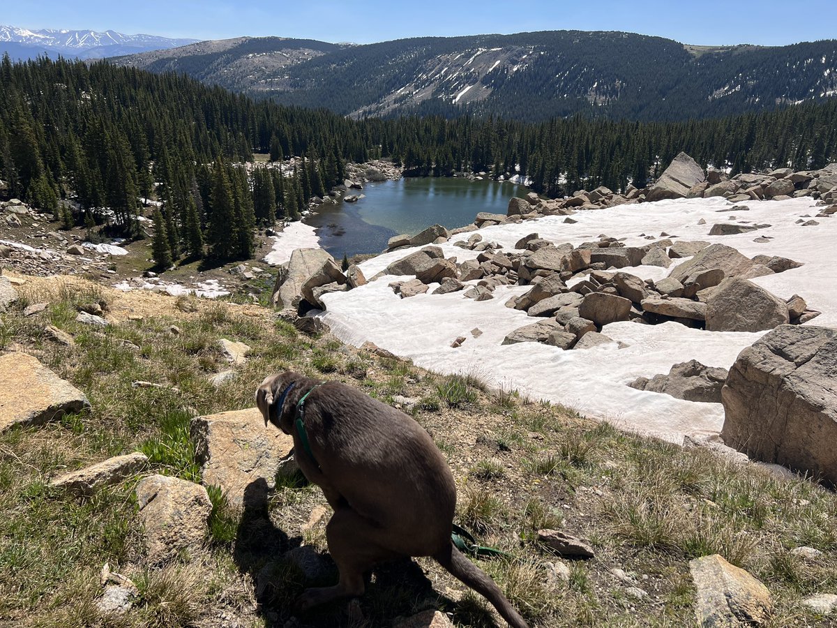 Yesterday was big news. It means Frank can build on $Hyper.  Back to doing some shits .