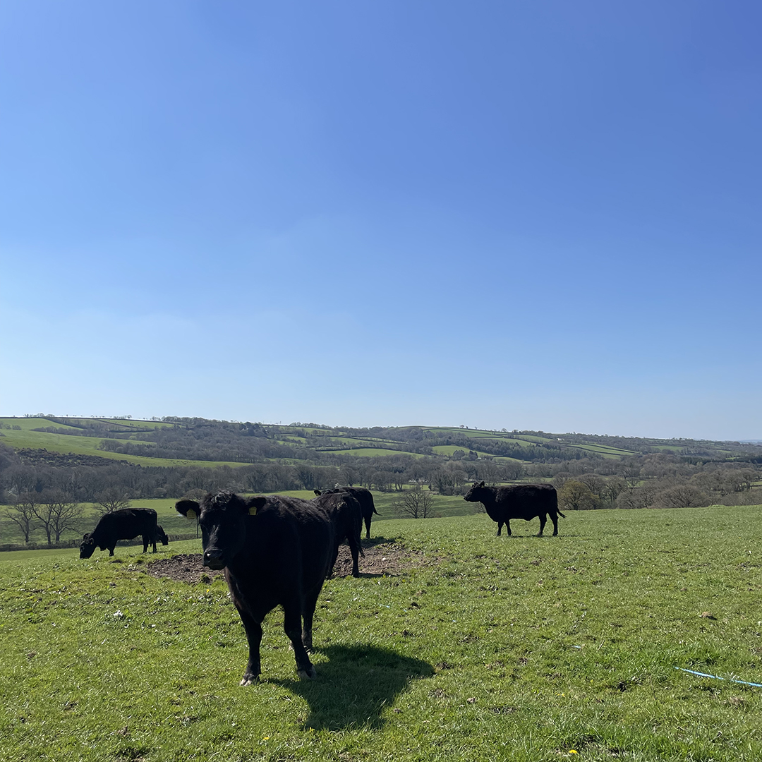 Eversfield Organic tweet media