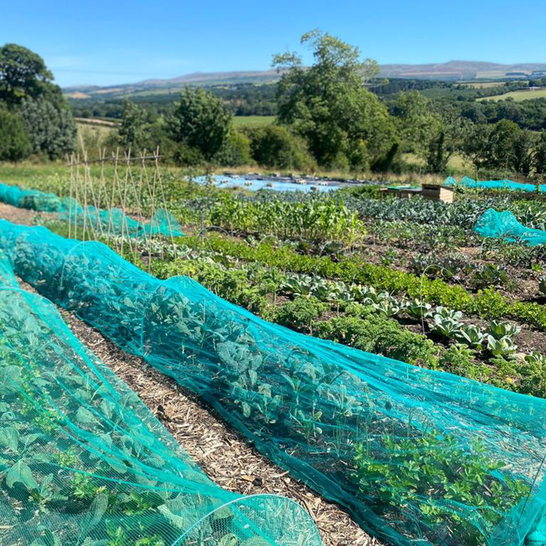 Eversfield Organic tweet media