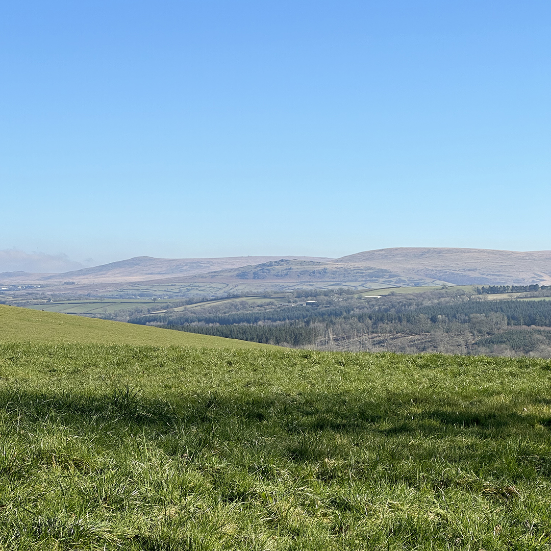 Bringing some sunshine to your feed to combat the rainy day blues with a few throwbacks to sunnier days on the farm ☀️🐮

After the hot spell in June, our soils and Market Garden definitely needed a little rain, but we can't help but look forward to warmer summer days to come! 😎