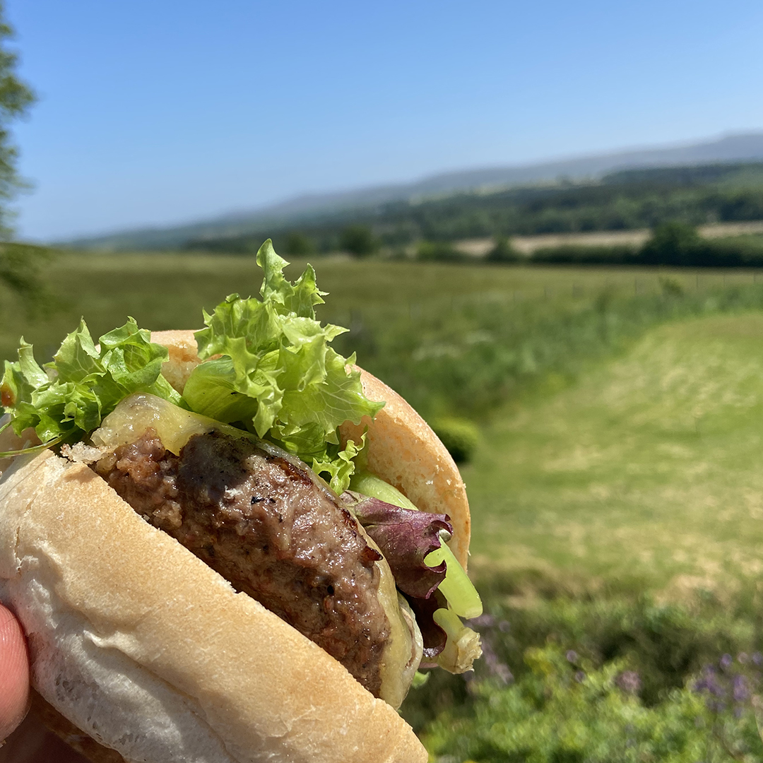 Eversfield Organic tweet media