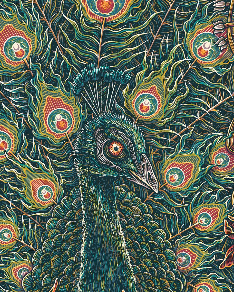 Phish Dry Goods tweet media