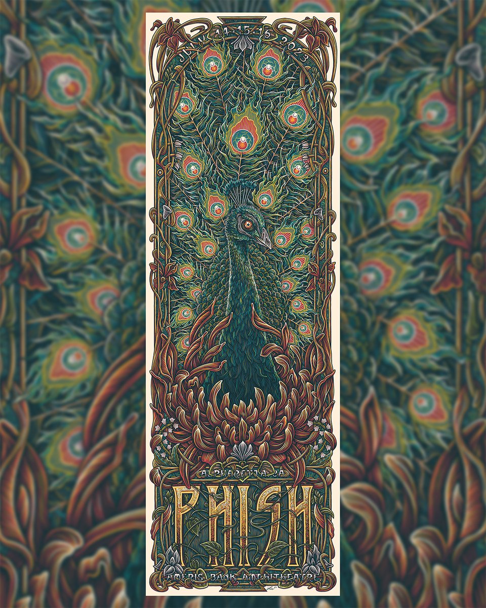 Phish Dry Goods tweet media