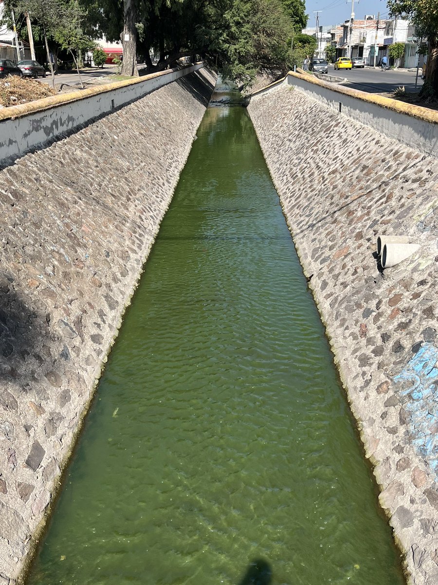 molveras's tweet photo. Qué tal el canal de la Colonia El Mirador y Tintero en la calle Vía Láctea pareciera que están celebrando a San Patricio. Así desde hace varios días. @qromunicipio ojo aquí https://t.co/iRSsz8Ory8