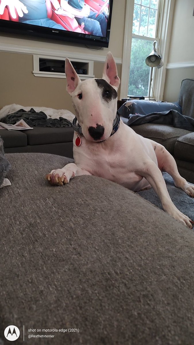 I've lost 400 followers in the last week.  I think a lot of people deleted their accounts and migrated elsewhere, but if you follow me, check and make sure you're still following, because Twitter does that sometimes for no reason