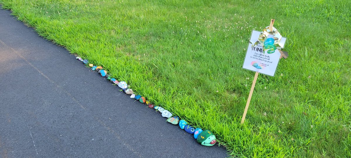 bettybumpkinsg's tweet image. Added a few painted rocks to the neighborhood snake. #creativityforkids #nashuarocks