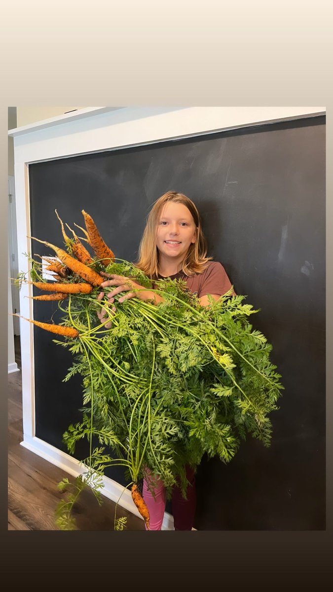 tarabreder's tweet photo. Time to make pickled carrots 🥕 https://t.co/jM1a7Rn8W9