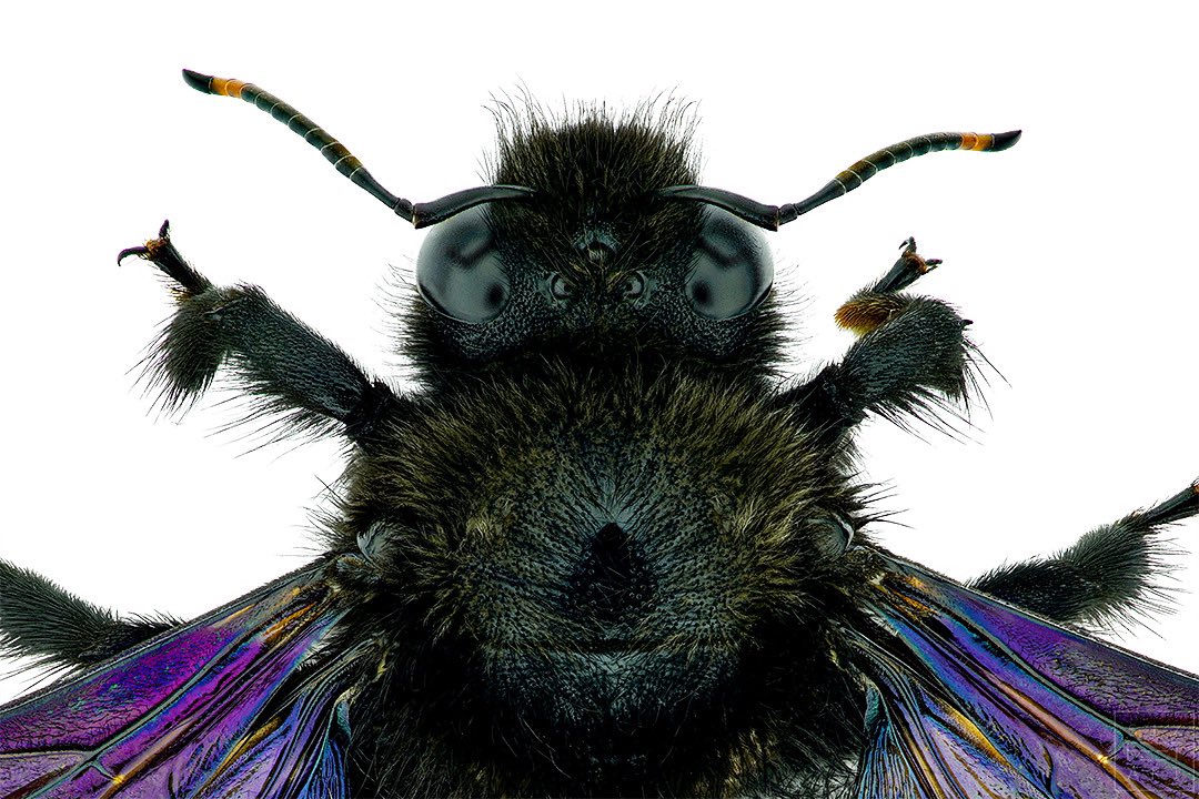 Thorben Danke tweet media