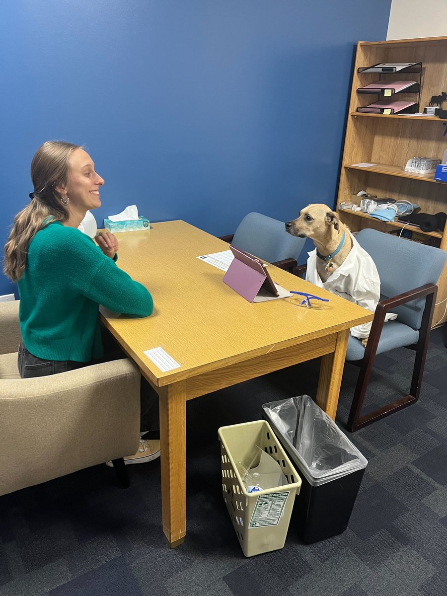 cuchange's tweet photo. Congrats Finn for receiving your Dogtorate Degree 🎉🐾🎊 https://t.co/YPmgxaFNSb