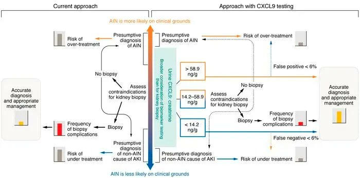 Journal of Clinical Investigation (@jclinicalinvest) on Twitter photo Biomarkers in acute kidney injury: On the cusp of a new era? buff.ly/3NDlPDq
In this Commentary, <a href="/MarkCanney/">Mark Canney</a>, Edward G. Clark & <a href="/hswapnil/">Swapnil Hiremath @hswapnil.medsky.social</a> @UOttawa provide a diagnostic framework for incorporating CXCL9 testing in the evaluation of AKI.
Related: buff.ly/3D2ZUkh Biomarkers in acute kidney injury: On the cusp of a new era? buff.ly/3NDlPDq
In this Commentary, <a href="/MarkCanney/">Mark Canney</a>, Edward G. Clark & <a href="/hswapnil/">Swapnil Hiremath @hswapnil.medsky.social</a> @UOttawa provide a diagnostic framework for incorporating CXCL9 testing in the evaluation of AKI.
Related: buff.ly/3D2ZUkh