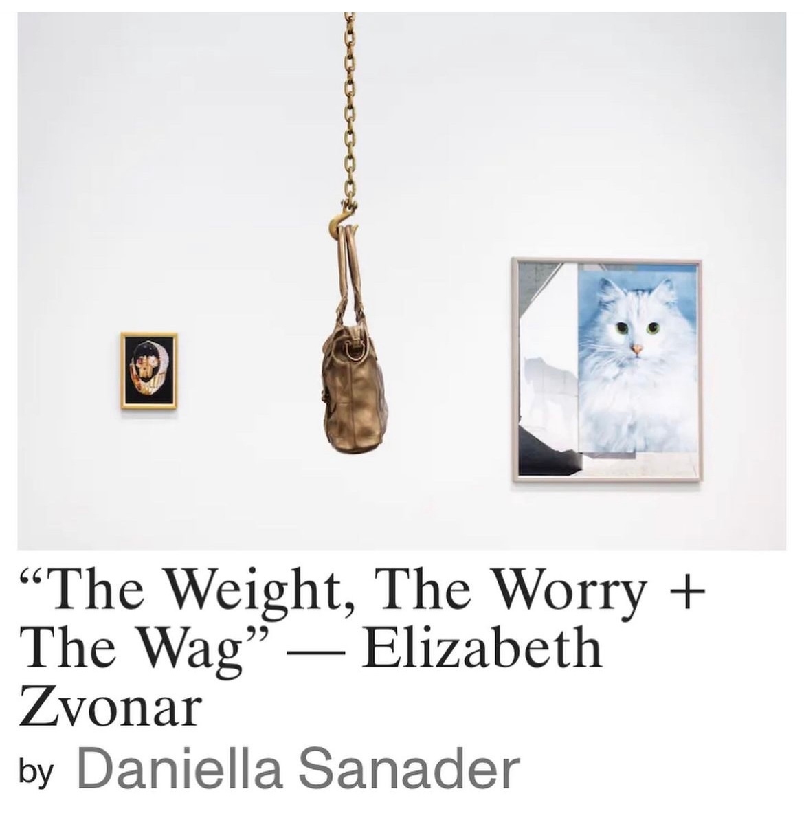 Daniel Faria Gallery tweet media